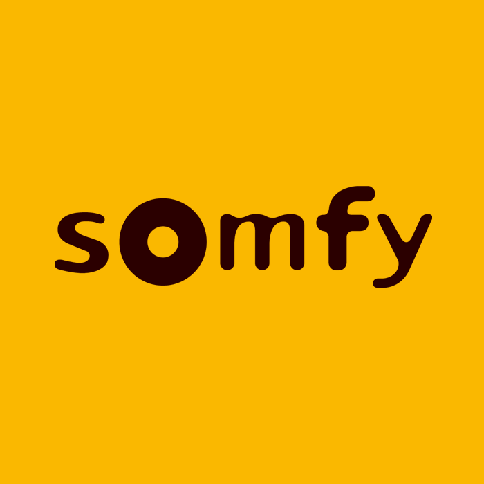 Télécommande SOMFY au Meilleur Prix du Web - Allo Télécommande
