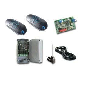 Kit radio pour commande à distance CAME 8K06RV-002 (120-230 V AC)